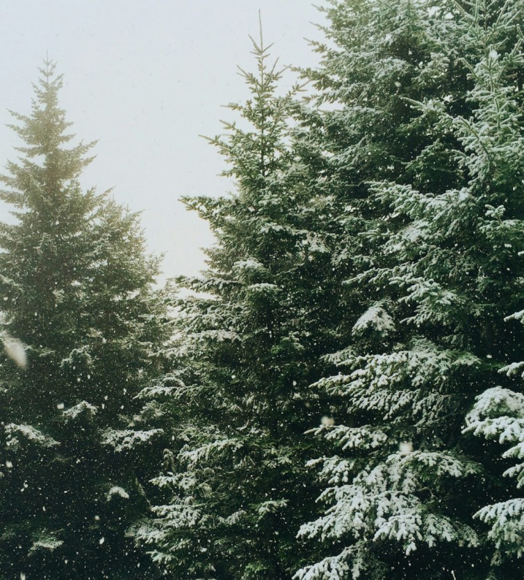 Winterliche Weihnachtsstimmung in Großarl. ©Jeremy Gallman Unsplash